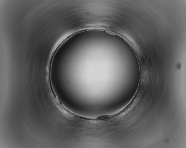 X0000100381196200806061211