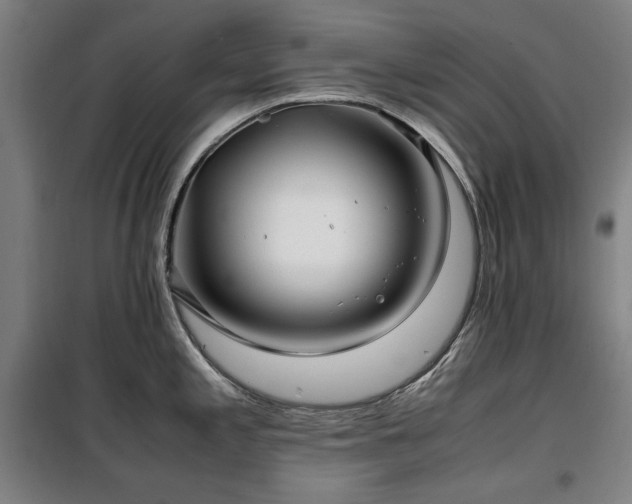 X0000100381197200806061211