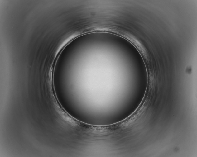 X0000100381198200806061211
