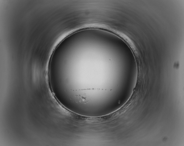 X0000100381199200806061211