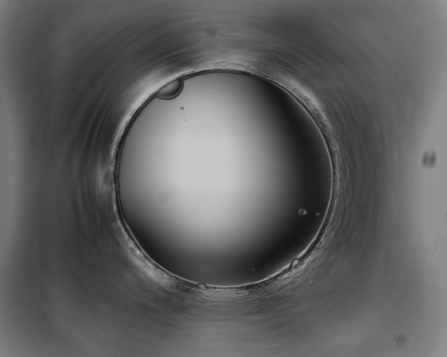 X0000100381200200806061211