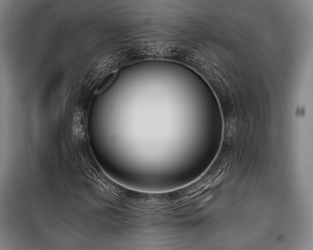 X0000100381202200806061210
