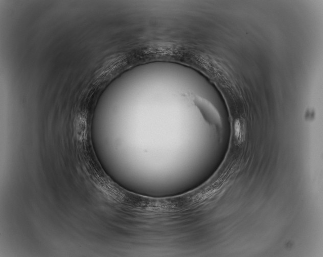 X0000100381203200806061210