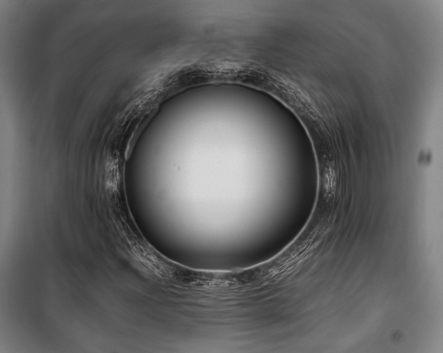 X0000100381204200806061211