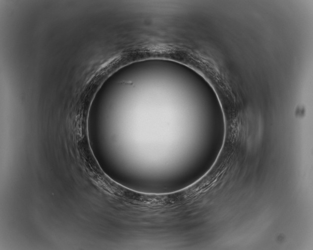X0000100381205200806061211
