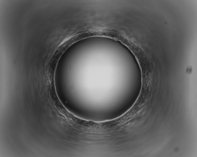 X0000100381206200806061211