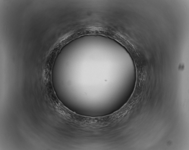 X0000100381207200806061211