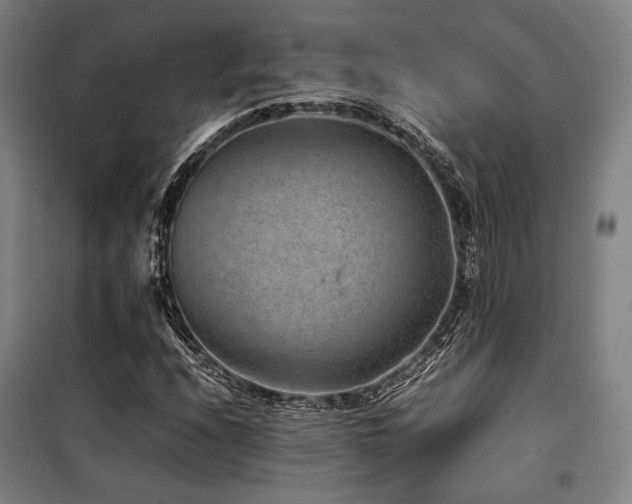 X0000100381208200806061211