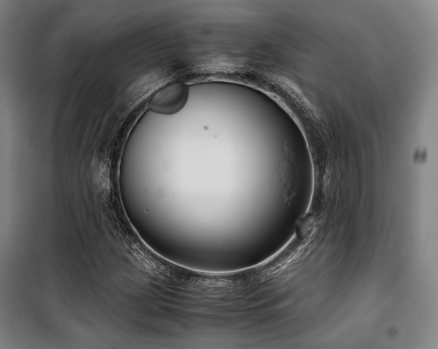 X0000100381209200806061211