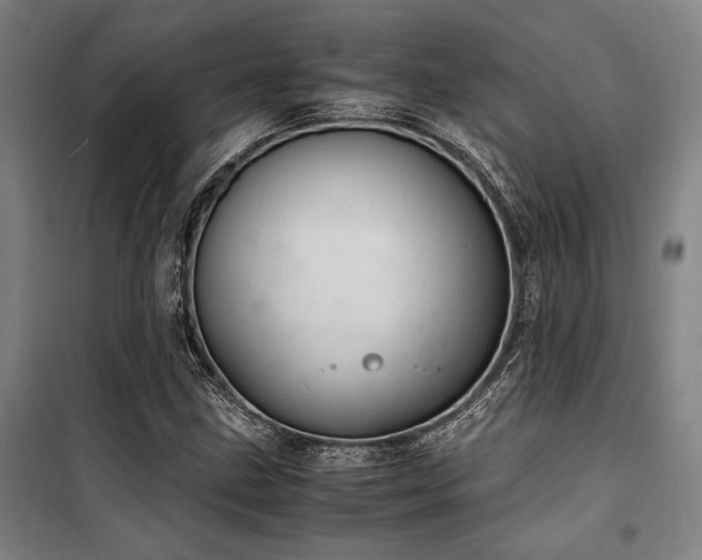 X0000100381211200806061211