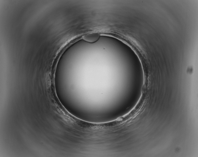 X0000100381212200806061211