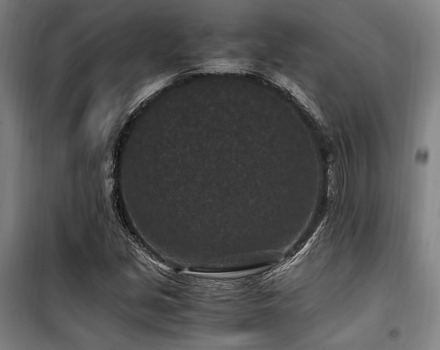 X0000100381213200806061211