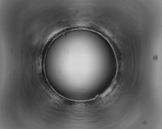 X0000100381214200806061211