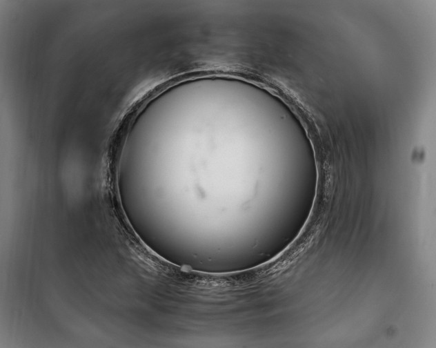 X0000100381215200806061211