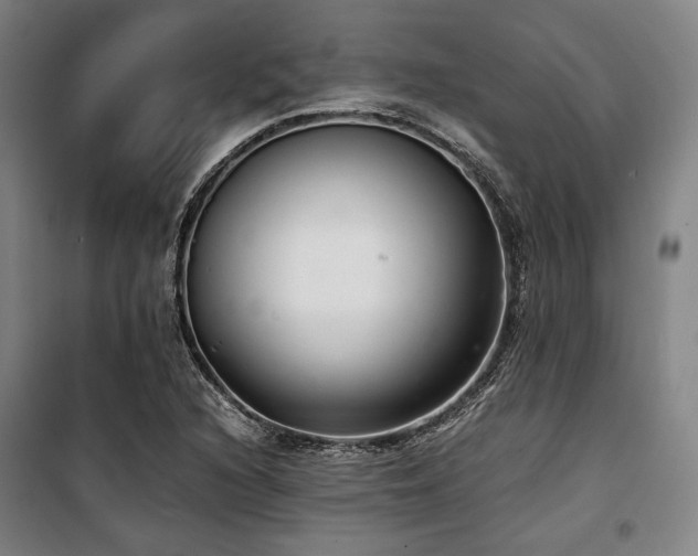 X0000100381216200806061211