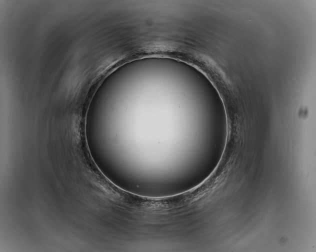 X0000100381217200806061211
