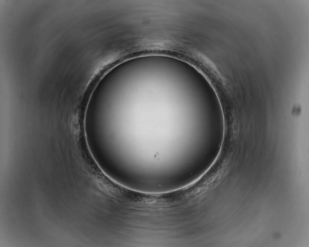 X0000100381218200806061211