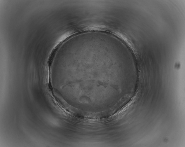 X0000100381219200806061211