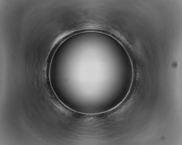X0000100381222200806061211