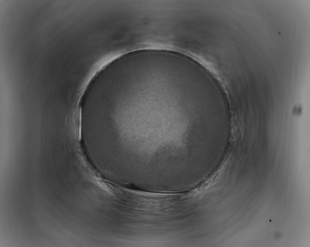X0000100381223200806061211