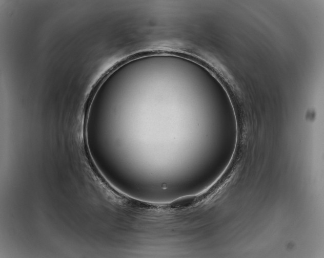 X0000100381224200806061211