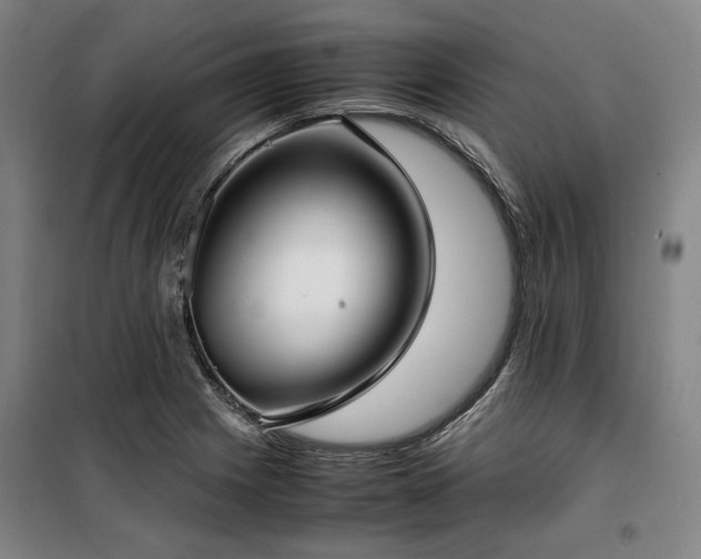X0000100381225200806061211