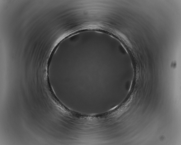 X0000100381226200806061211