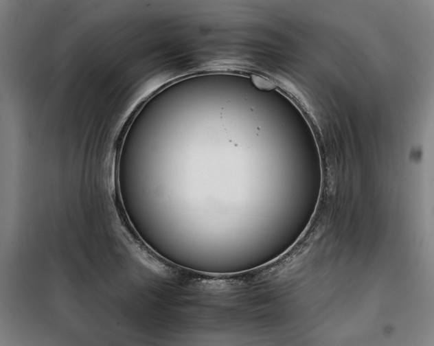 X0000100381227200806061211