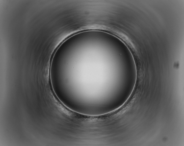 X0000100381228200806061211
