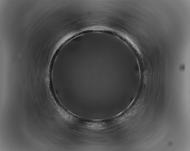 X0000100381229200806061211