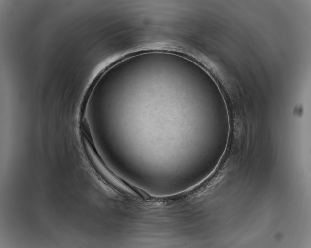 X0000100381230200806061211