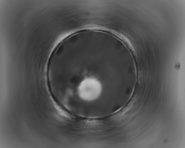 X0000100381231200806061211