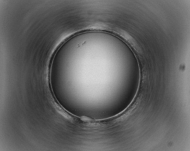 X0000100381232200806061211