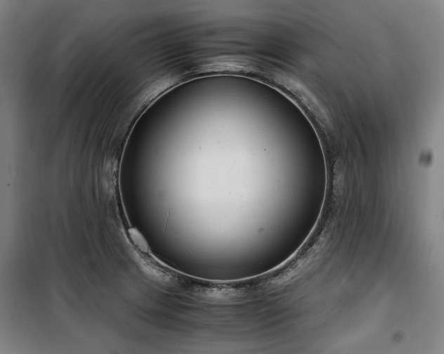 X0000100381233200806061211