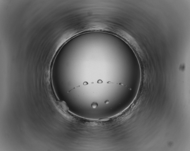 X0000100381234200806061211