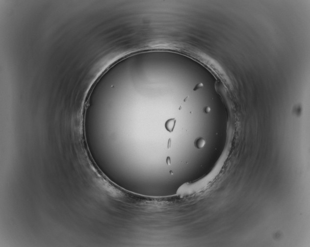 X0000100381236200806061211