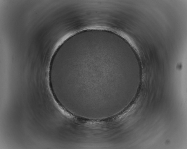 X0000100381237200806061211