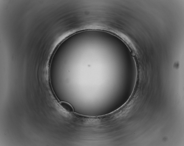 X0000100381238200806061211
