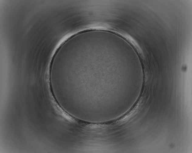 X0000100381240200806061211