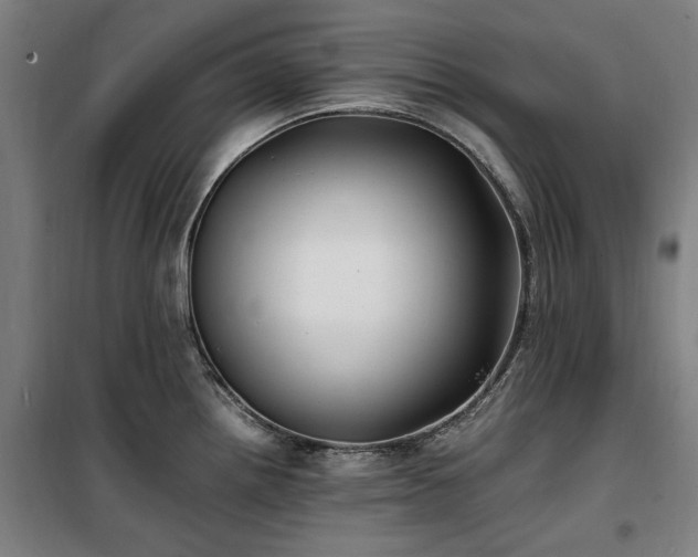 X0000100381242200806061211