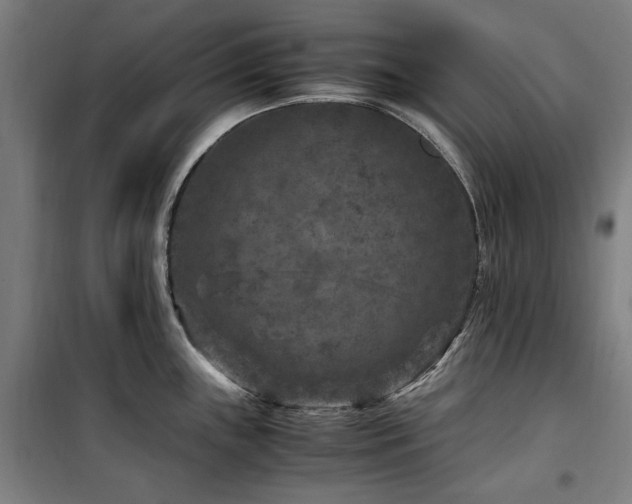 X0000100381243200806061211