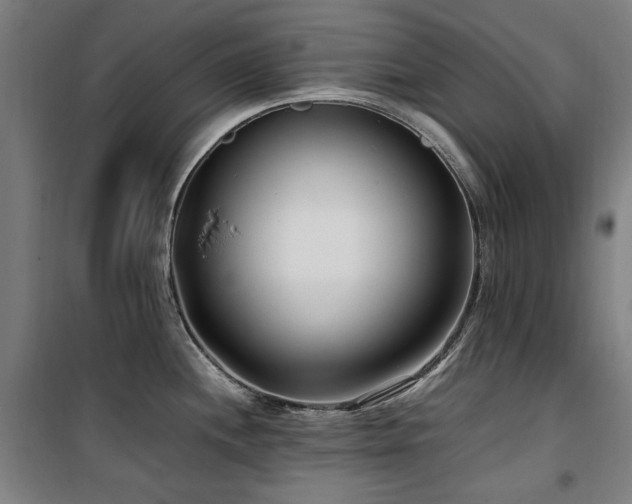 X0000100381244200806061211