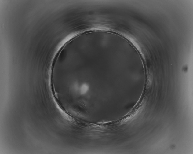 X0000100381245200806061211