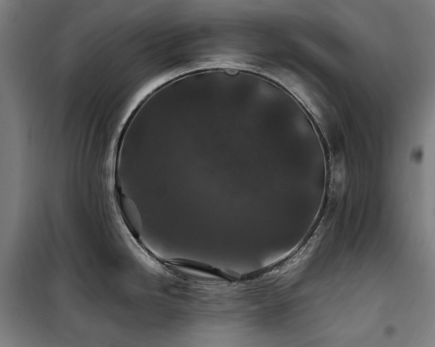 X0000100381246200806061211