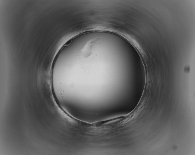X0000100381247200806061211
