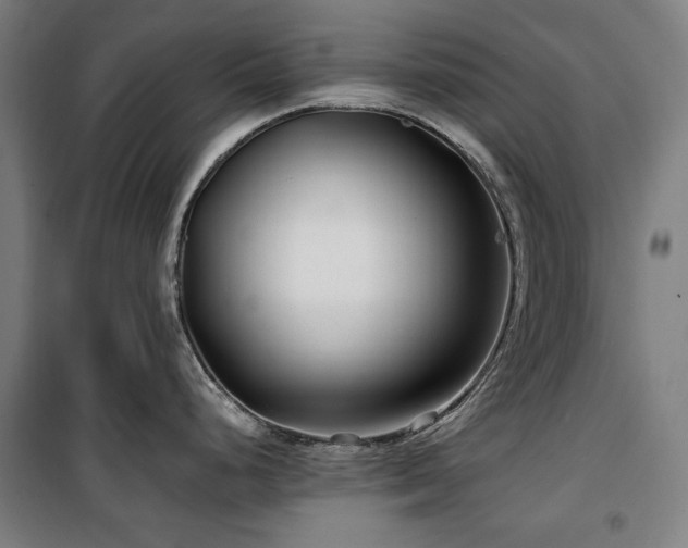 X0000100381248200806061211