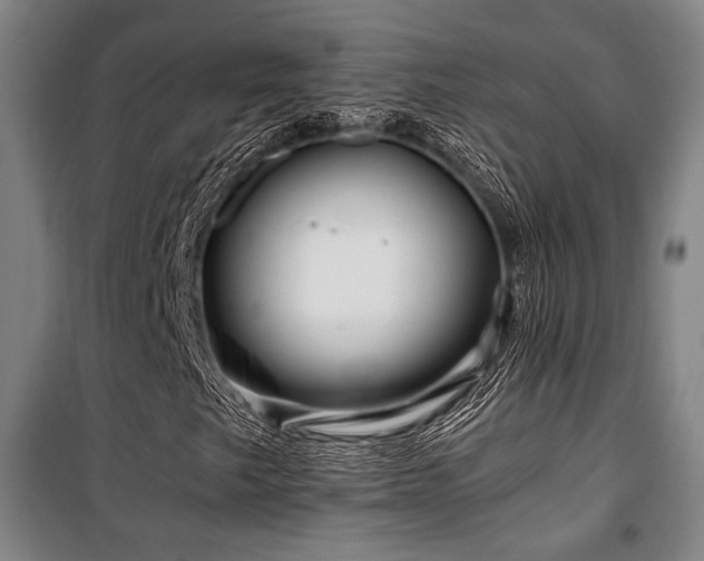 X0000100381249200806061210