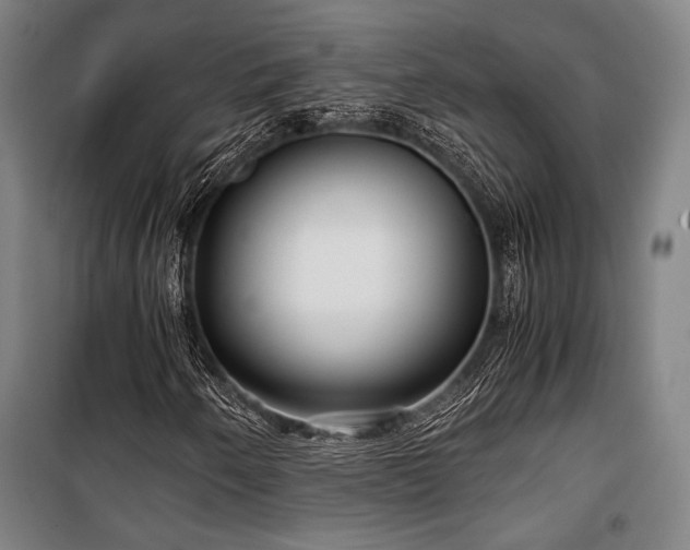 X0000100381250200806061210