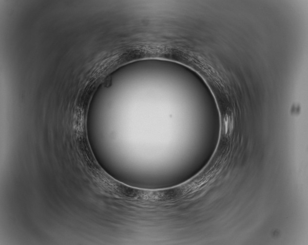 X0000100381251200806061210