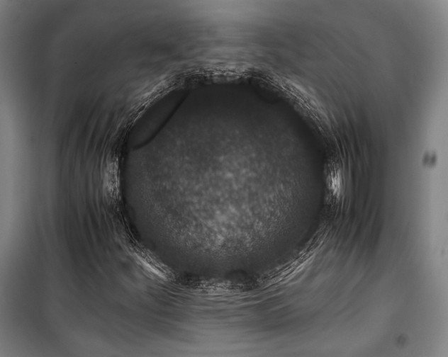 X0000100381252200806061210